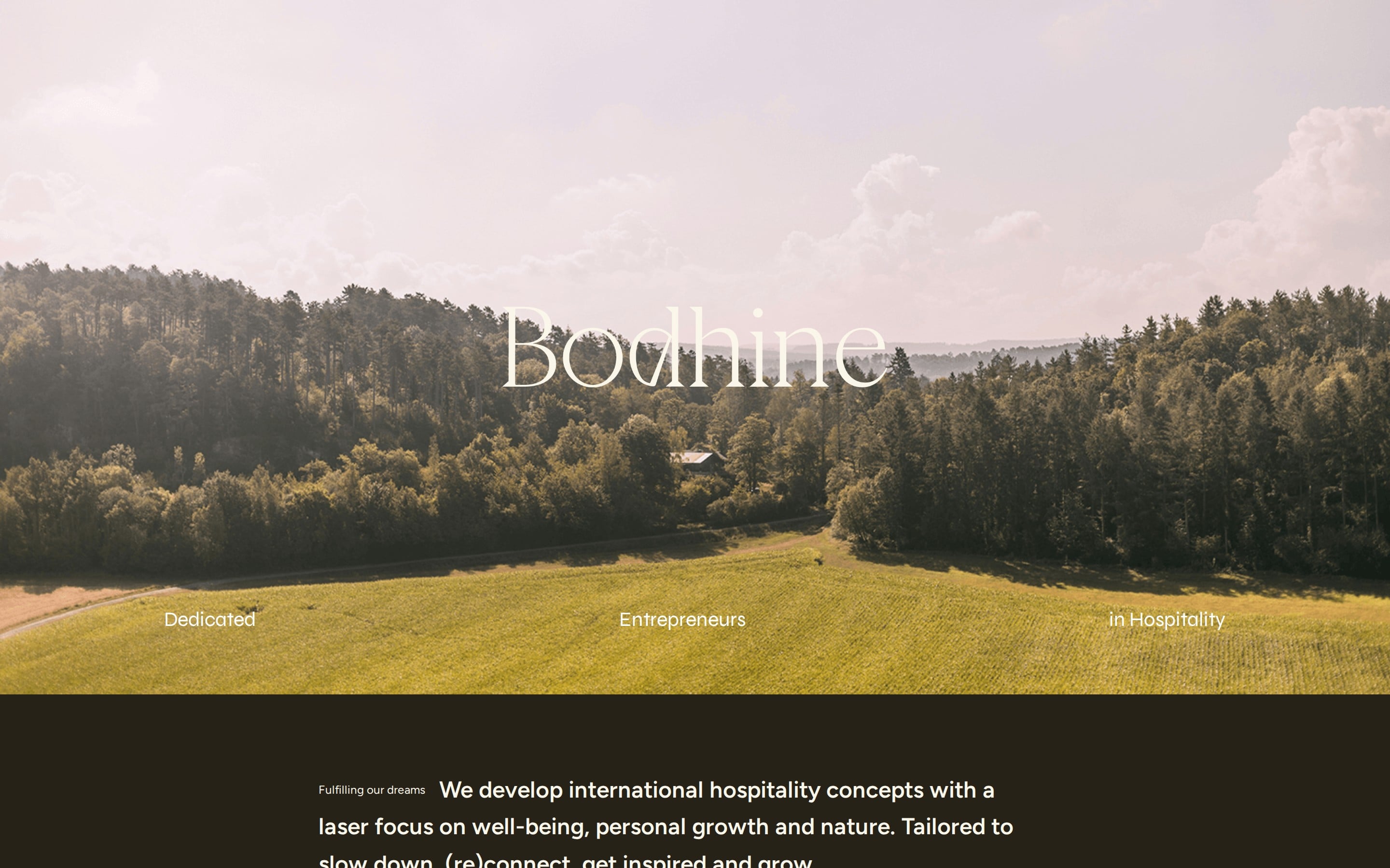 Homepage van bodhine.com
